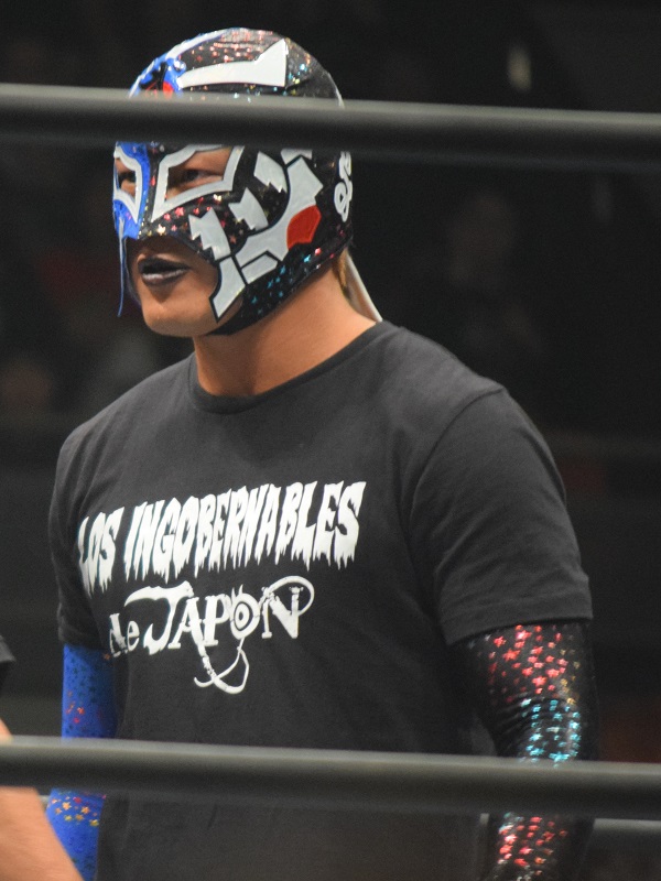 BUSHI