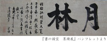 月林道皎
