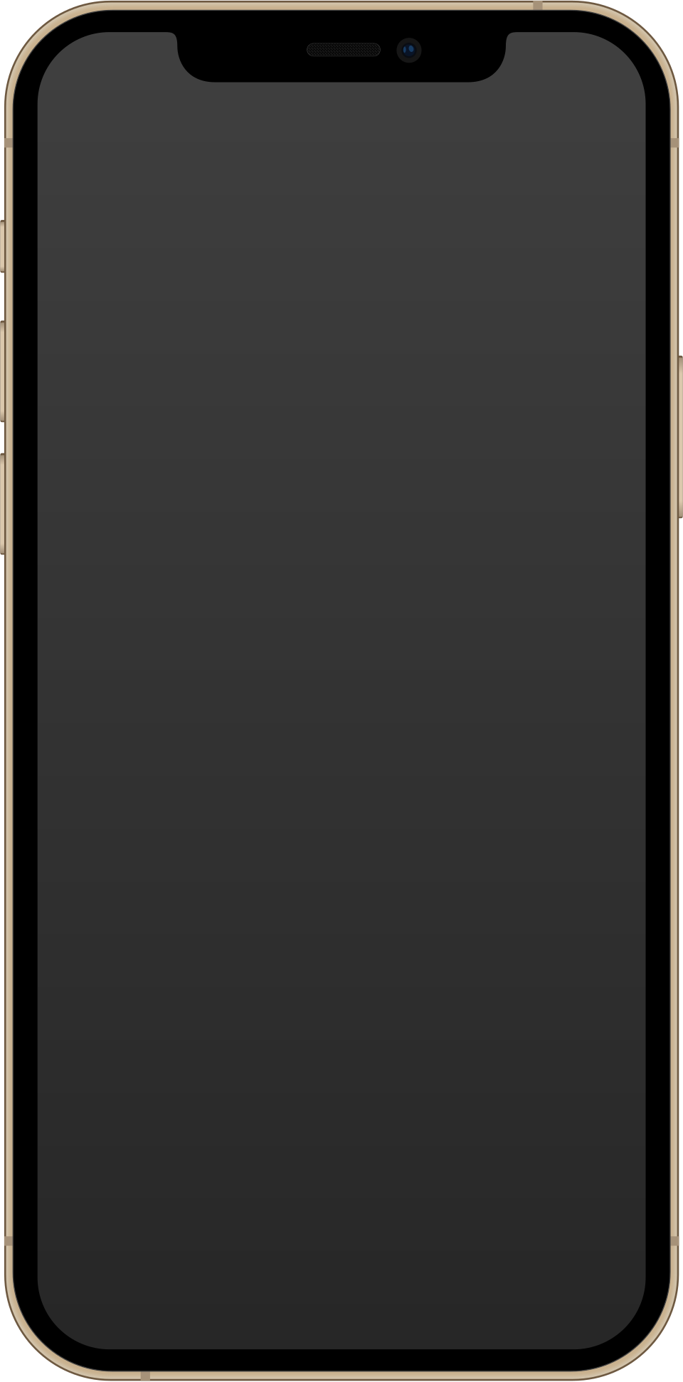 IPhone_12_Pro/12_Pro_Max