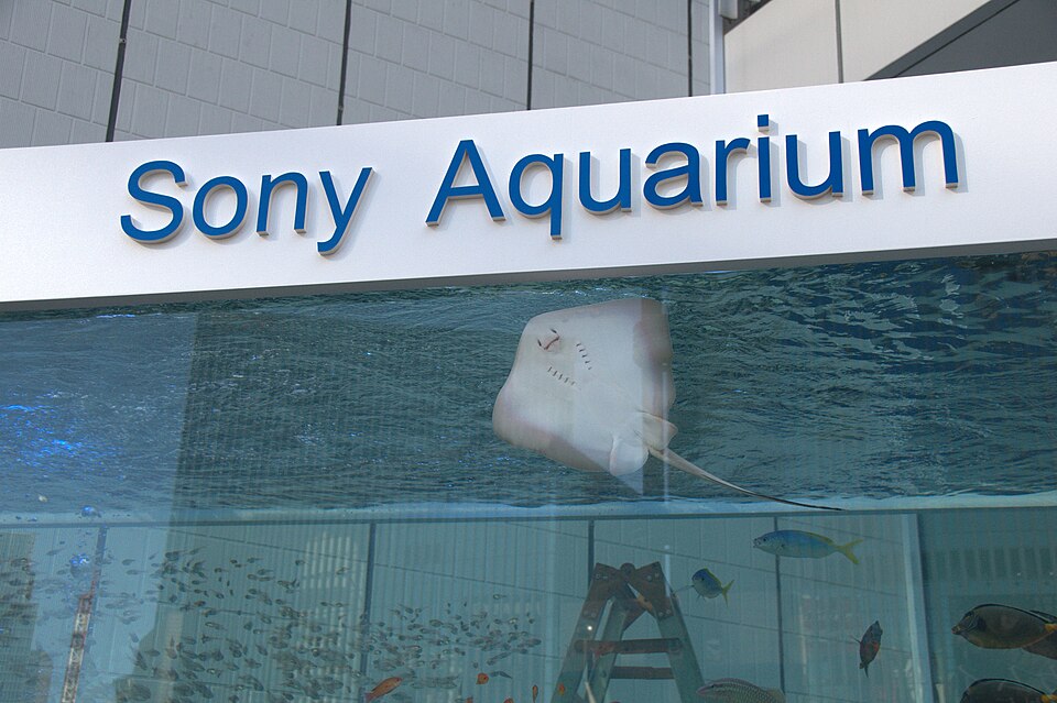 Sony Aquarium